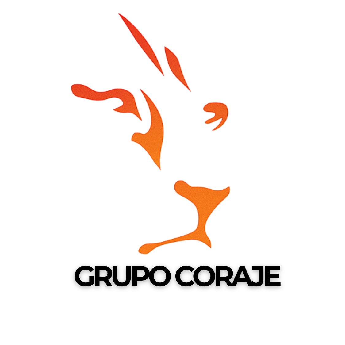 Grupo Coraje 
